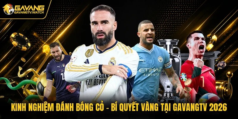 Kinh Nghiệm Đánh Bóng Cỏ – Bí Quyết Vàng Tại Gavangtv 2026