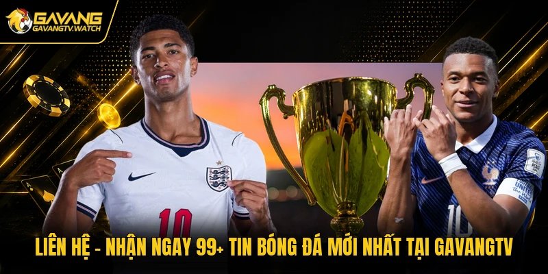 Liên Hệ - Nhận Ngay 99+ Tin Bóng Đá Mới Nhất Tại Gavangtv
