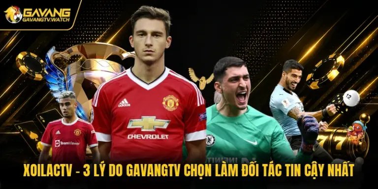 Xoilactv - 3 Lý Do Gavangtv Chọn Làm Đối Tác Tin Cậy Nhất