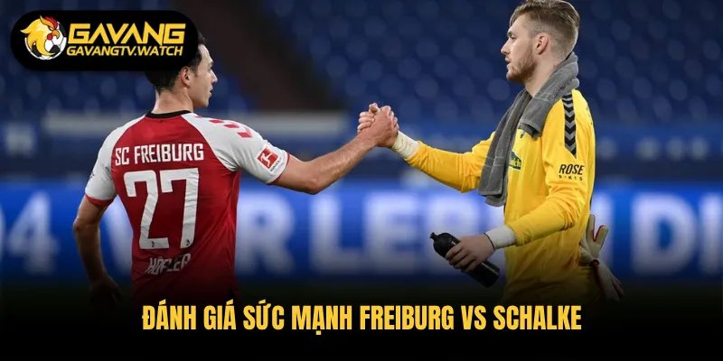 Đánh giá sức mạnh Freiburg vs Schalke 