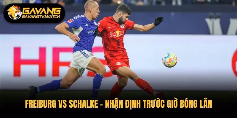 Freiburg vs Schalke – Nhận Định Trước Giờ Bóng Lăn