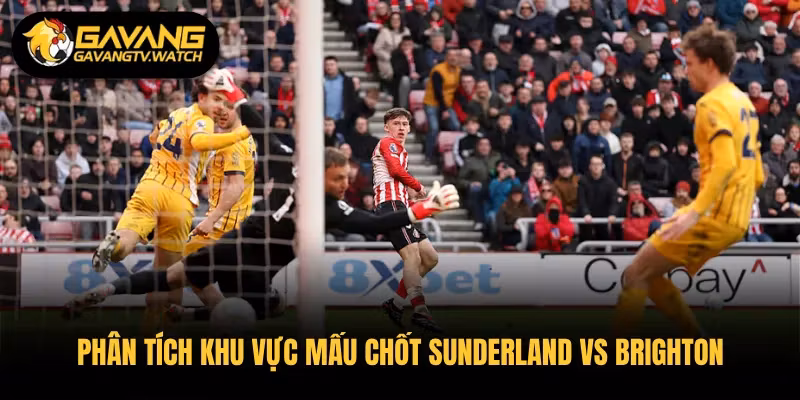 Phân tích khu vực mấu chốt Sunderland vs Brighton
