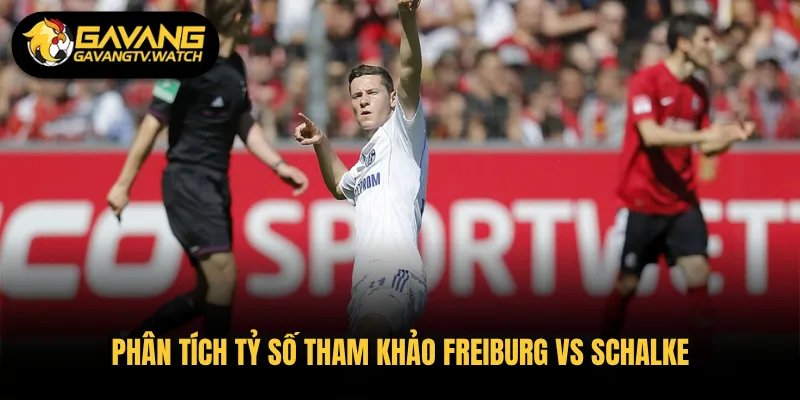 Phân tích tỷ số tham khảo Freiburg vs Schalke