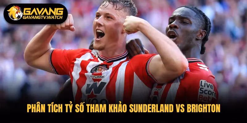 Phân tích tỷ số tham khảo Sunderland vs Brighton