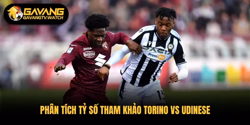 Phân tích tỷ số tham khảo Torino vs Udinese