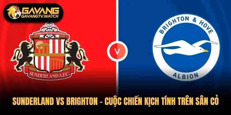 Sunderland vs Brighton – Cuộc Chiến Kịch Tính Trên Sân Cỏ