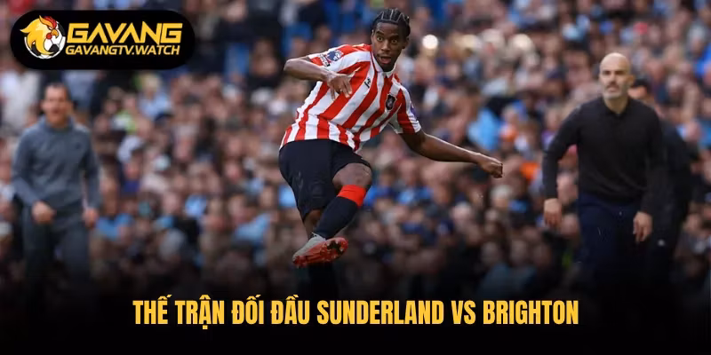 Thế trận đối đầu Sunderland vs Brighton 
